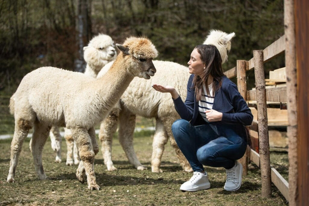 Umbria Alpaca Umbria Alpaca